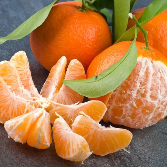 Dancy Tangerine