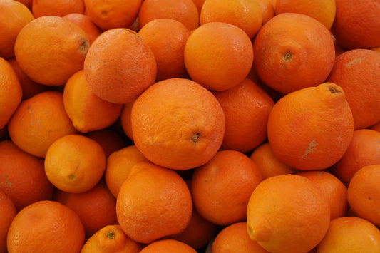 Minneola Tangelo (Honeybell)