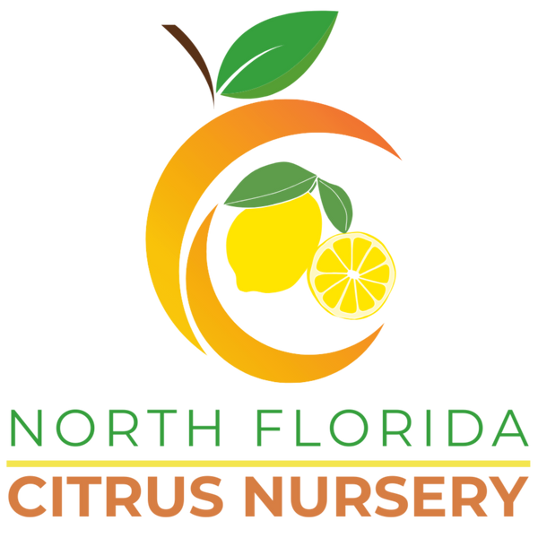 North Florida Citrus Nursery