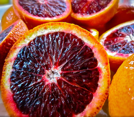 Budd Blood Orange