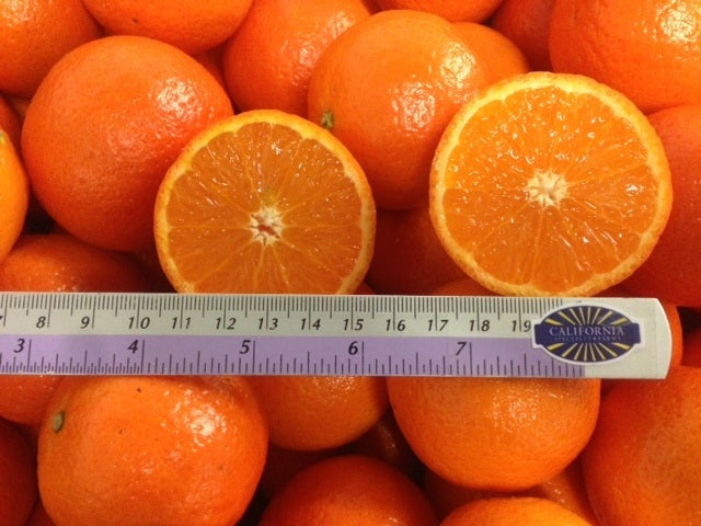 Page Tangerine