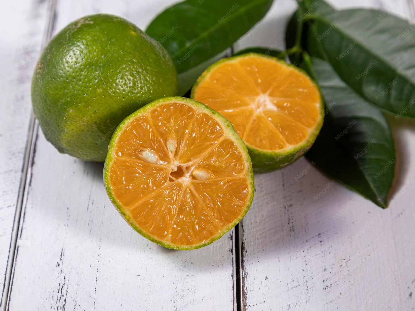 Rangpur Lime